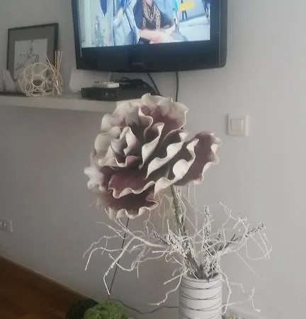 Apartament Vivando Unirii Apartman *